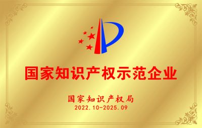 國家知識產(chǎn)權(quán)示范企業(yè)